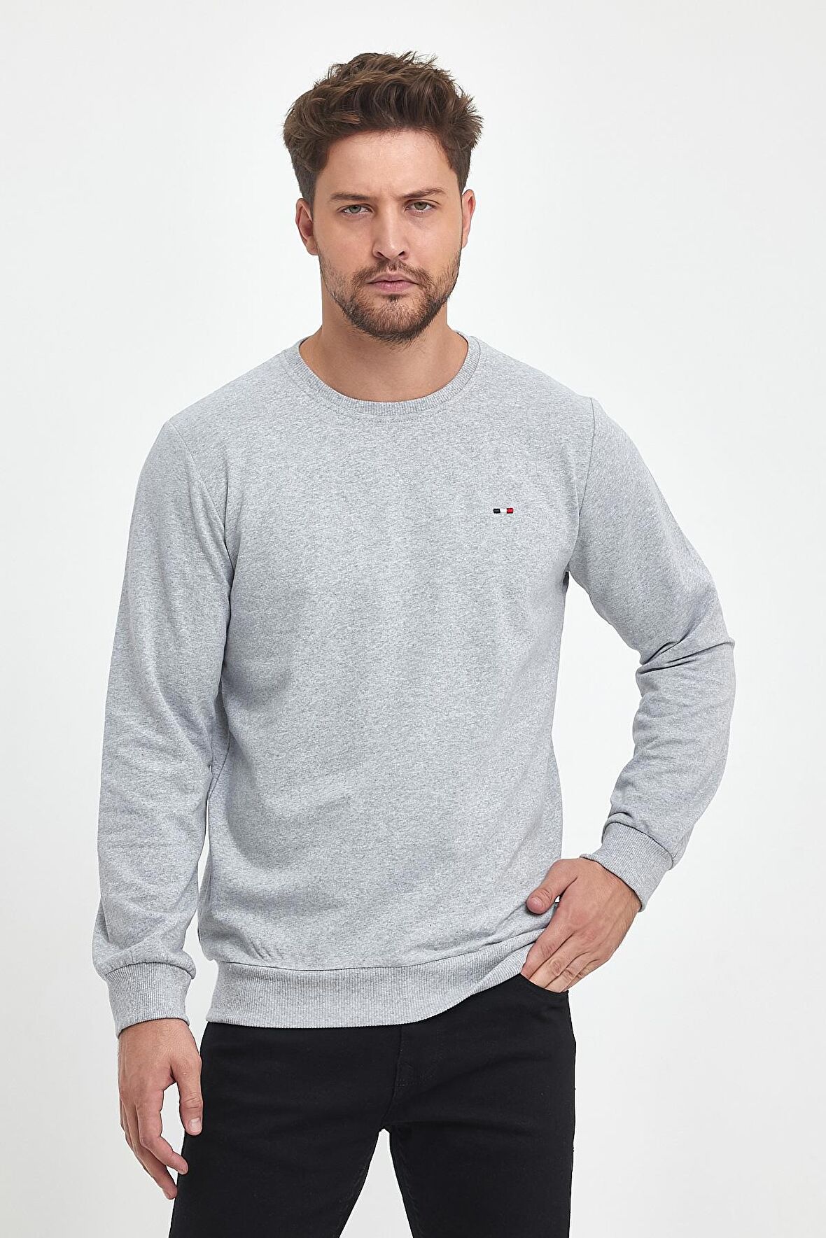 Erkek Gri Bisiklet Yaka Nakış Detaylı Regular Fit Sweatshirt