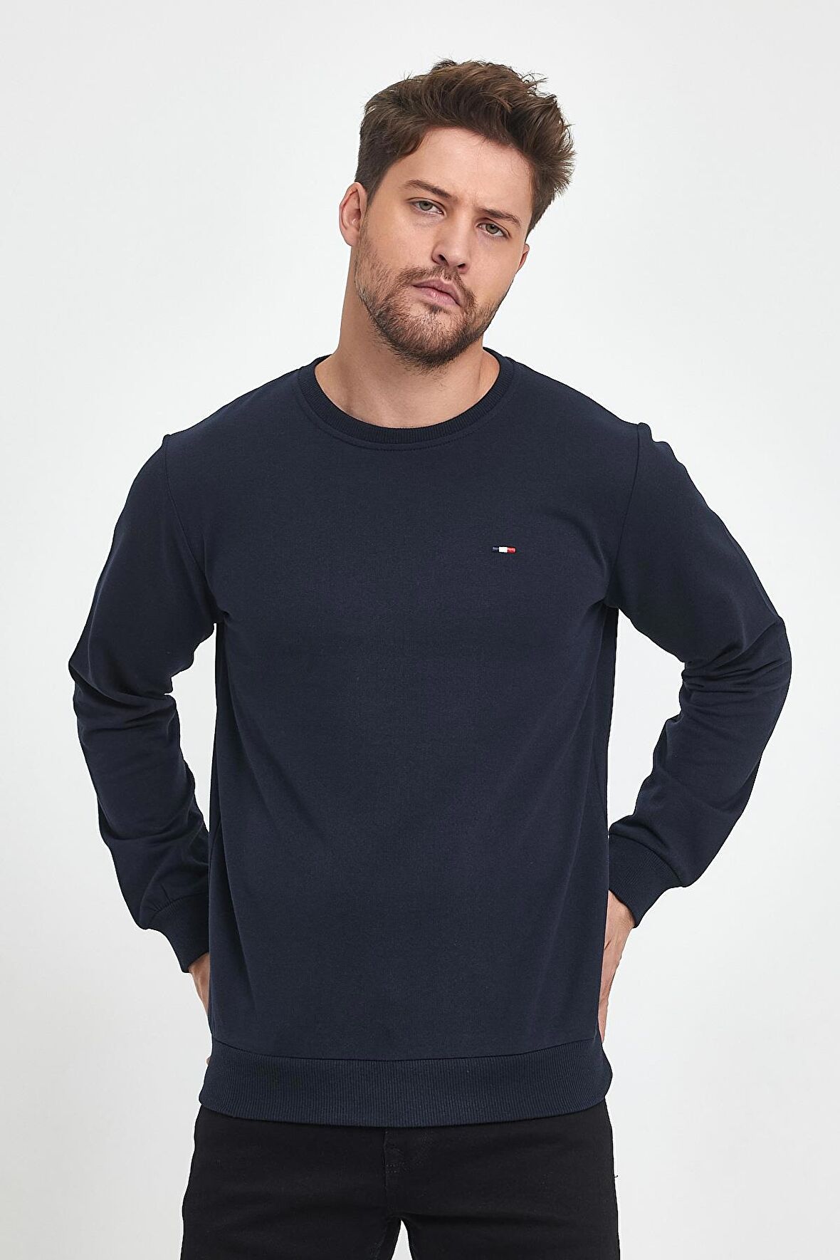 Erkek Lacivert Bisiklet Yaka Nakış Detaylı  Regular Fit Sweatshirt