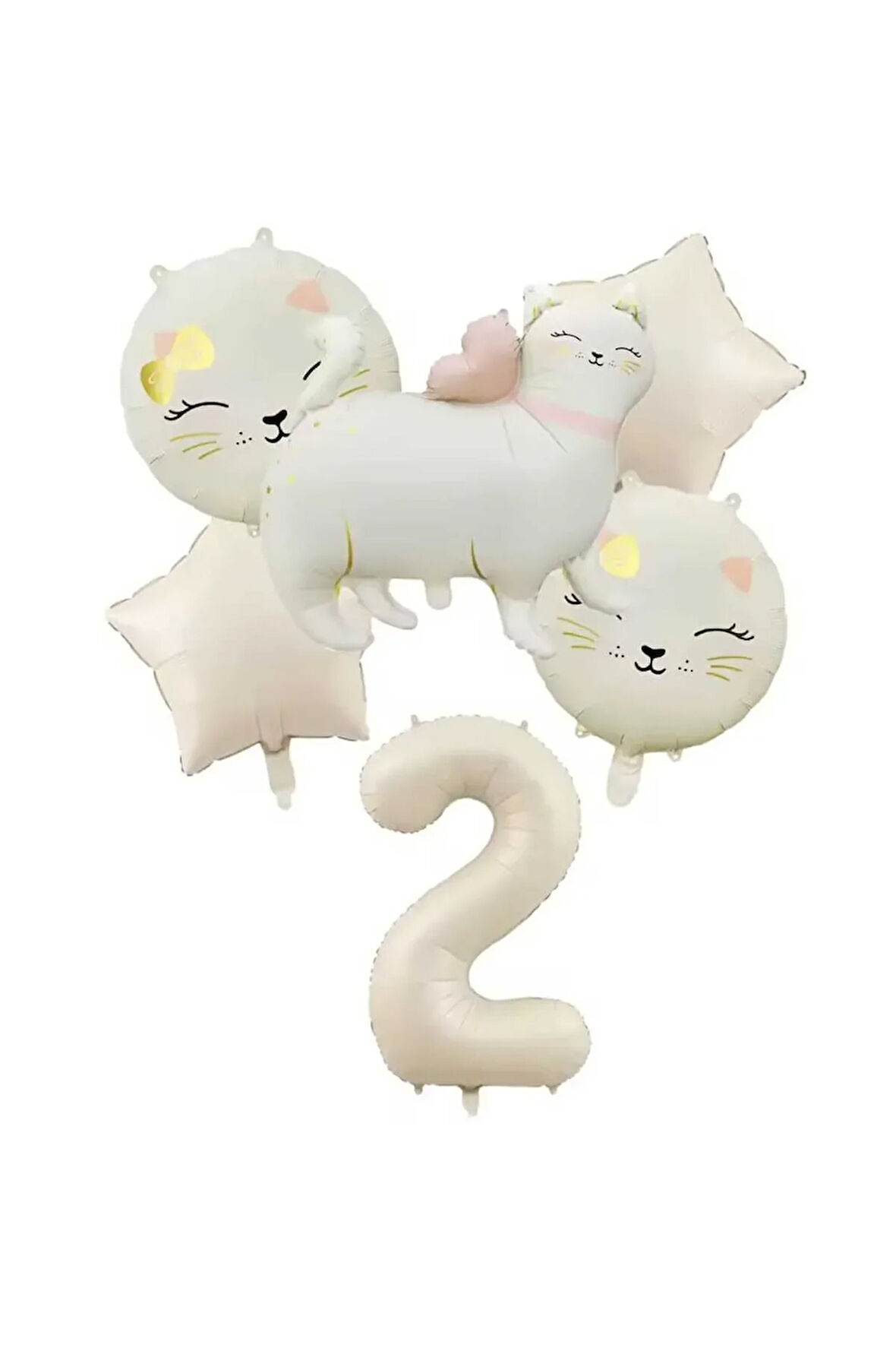KEDİ FOLYO BALONLU YAŞ BALON SET