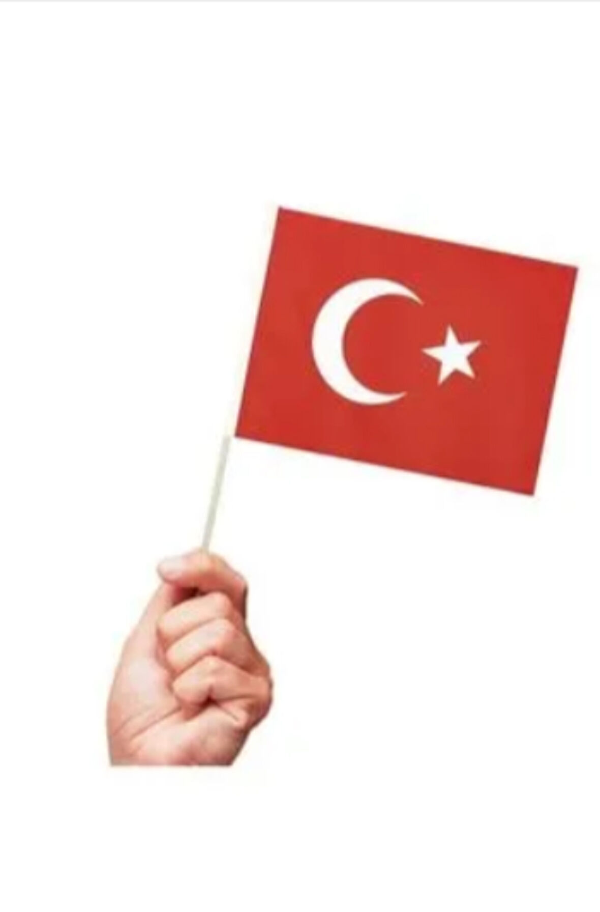 10 adet Sopalı Kağıt Küçük Türk Bayrağı 19x23cm