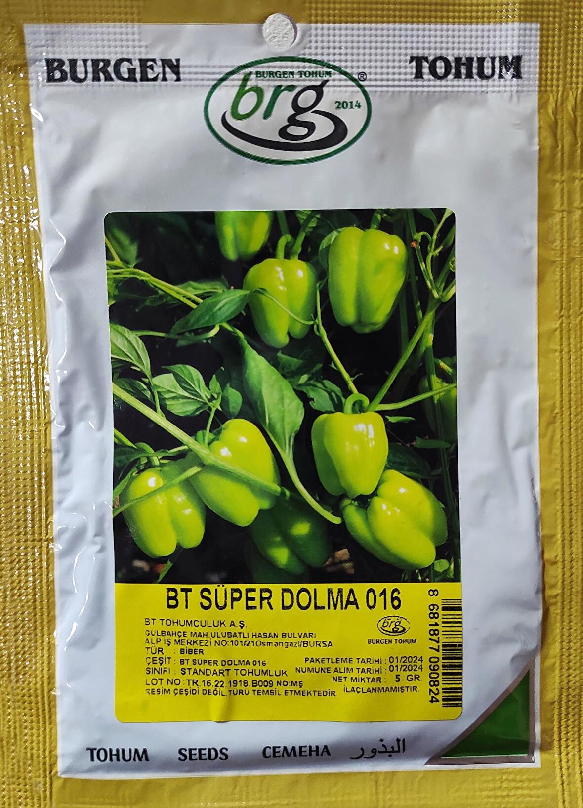 BT Süper Kandil Dolma 016 Biber tohumu 5 gr