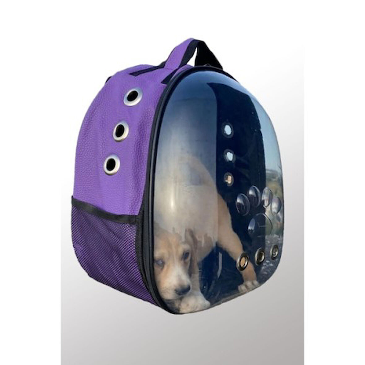STARSTUFFS Deri Astronot Kedi Ve Köpek Taşıma Çantası Mor