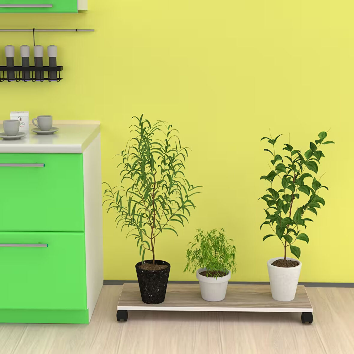 Kenzlife saksı altlığı kazım crd 010*090*30 tüp saksılık