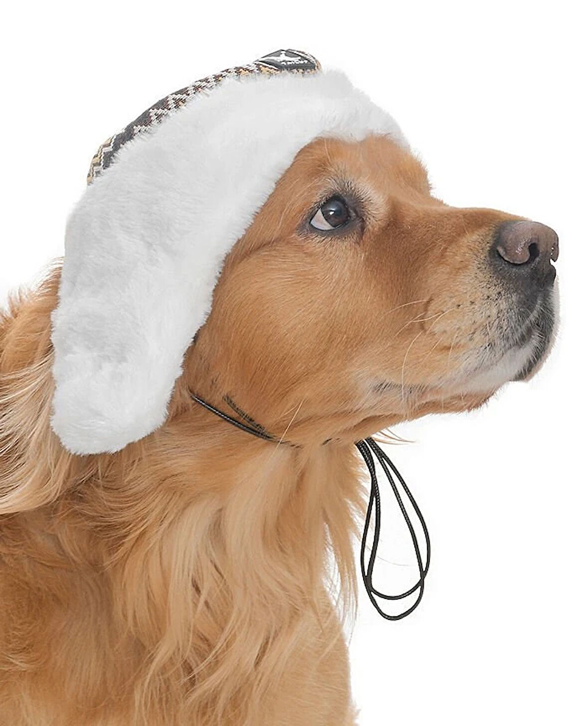 Küçük Orta ve Büyük Irk Köpek Şapka Sedna