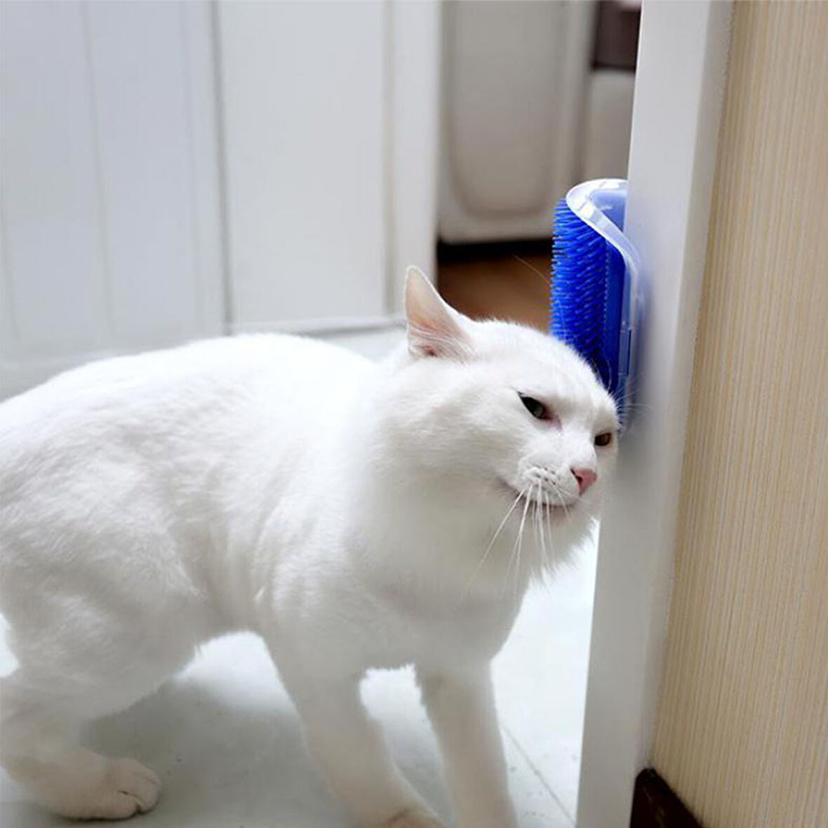 Pratik Kedi Tüyü Kaşıma Ve Tarama Aparatı Duvara Monte Kaşıma Aleti  GO50608278530