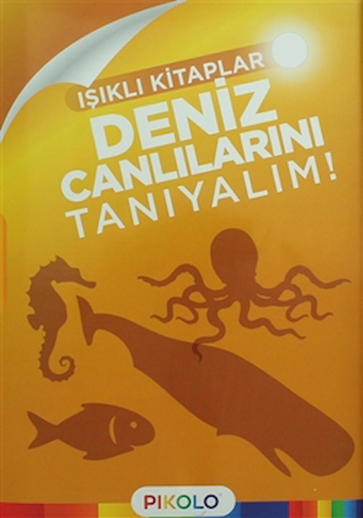 Deniz Canlılarını Tanıyalım - Işıklı Kitaplar