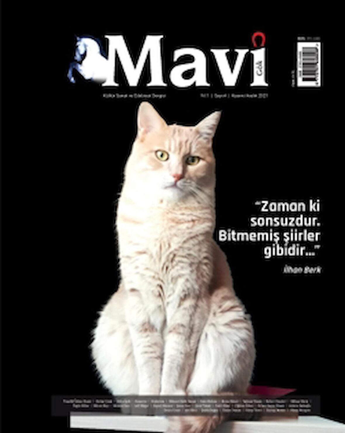 Mavi Gök Kültür Sanat Edebiyat Dergisi Sayı: 4 Kasım - Aralık 2021