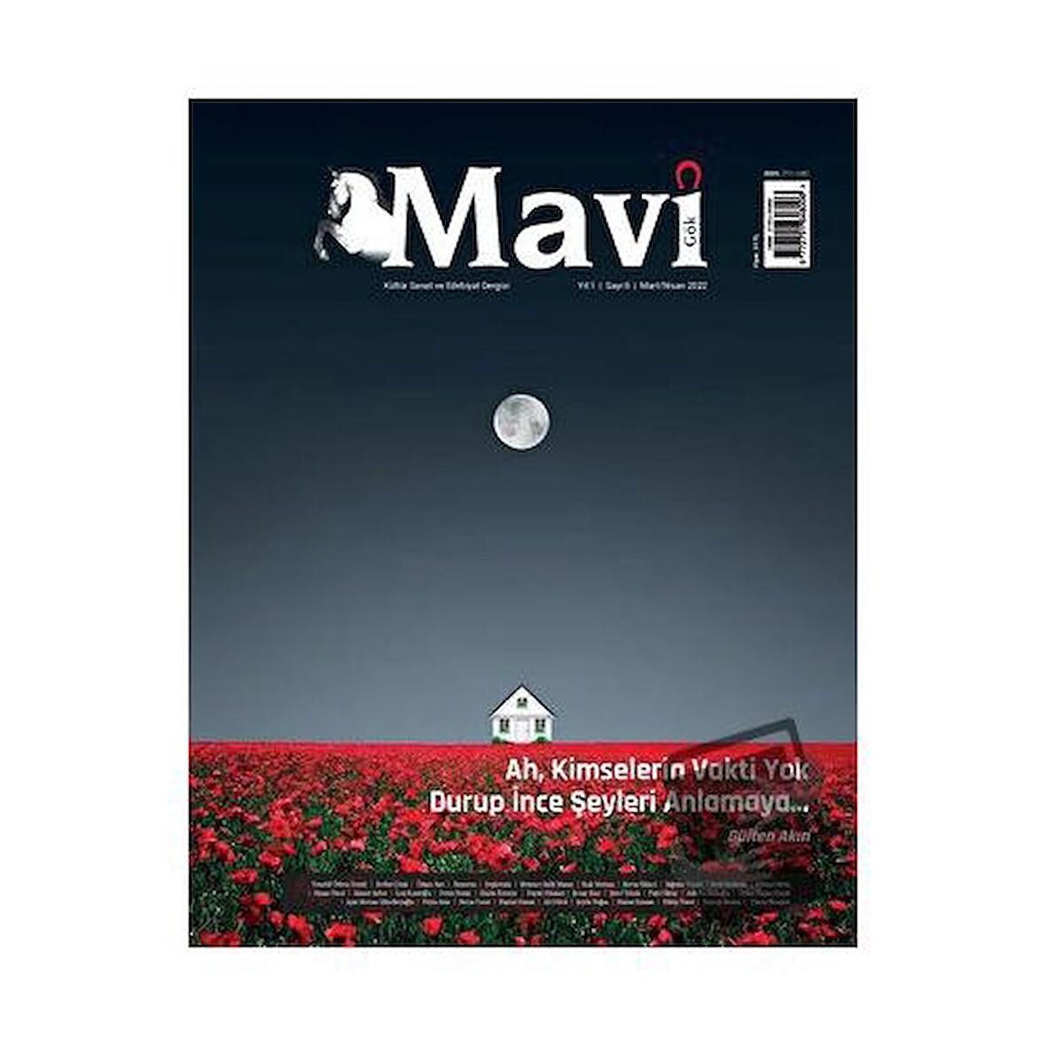 Mavi Gök Kültür Sanat Edebiyat Dergisi Sayı: 6 Mart - Nisan 2022