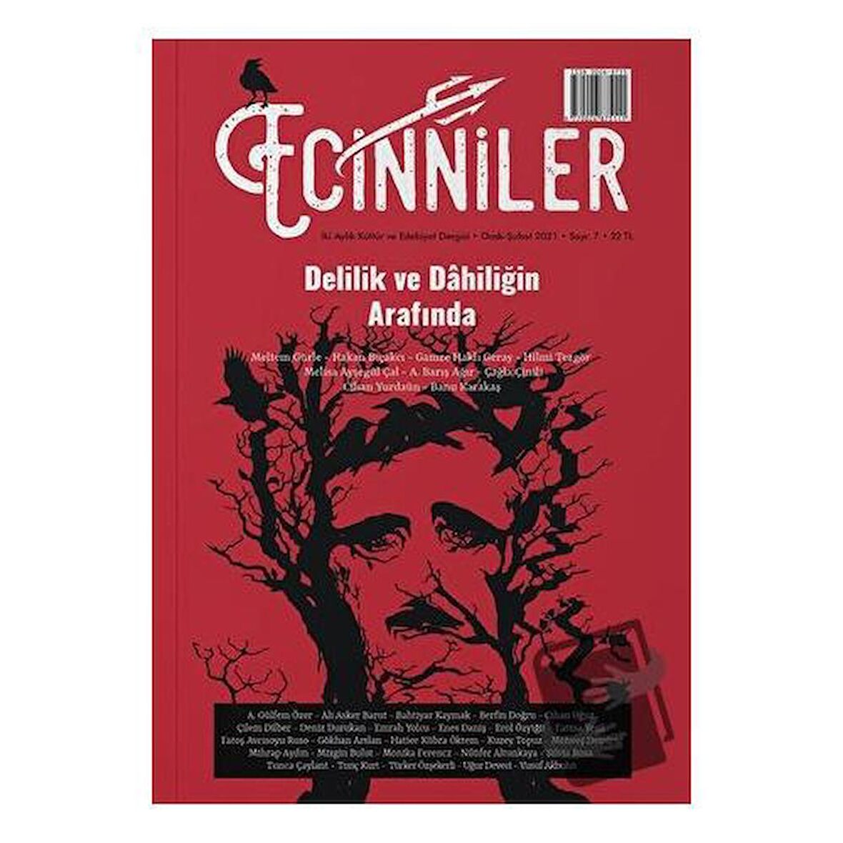 Ecinniler: İki Aylık Kültür ve Edebiyat Dergisi Sayı: 7 Delilik ve Dahiliğin Arafında Ocak - Şubat 2021