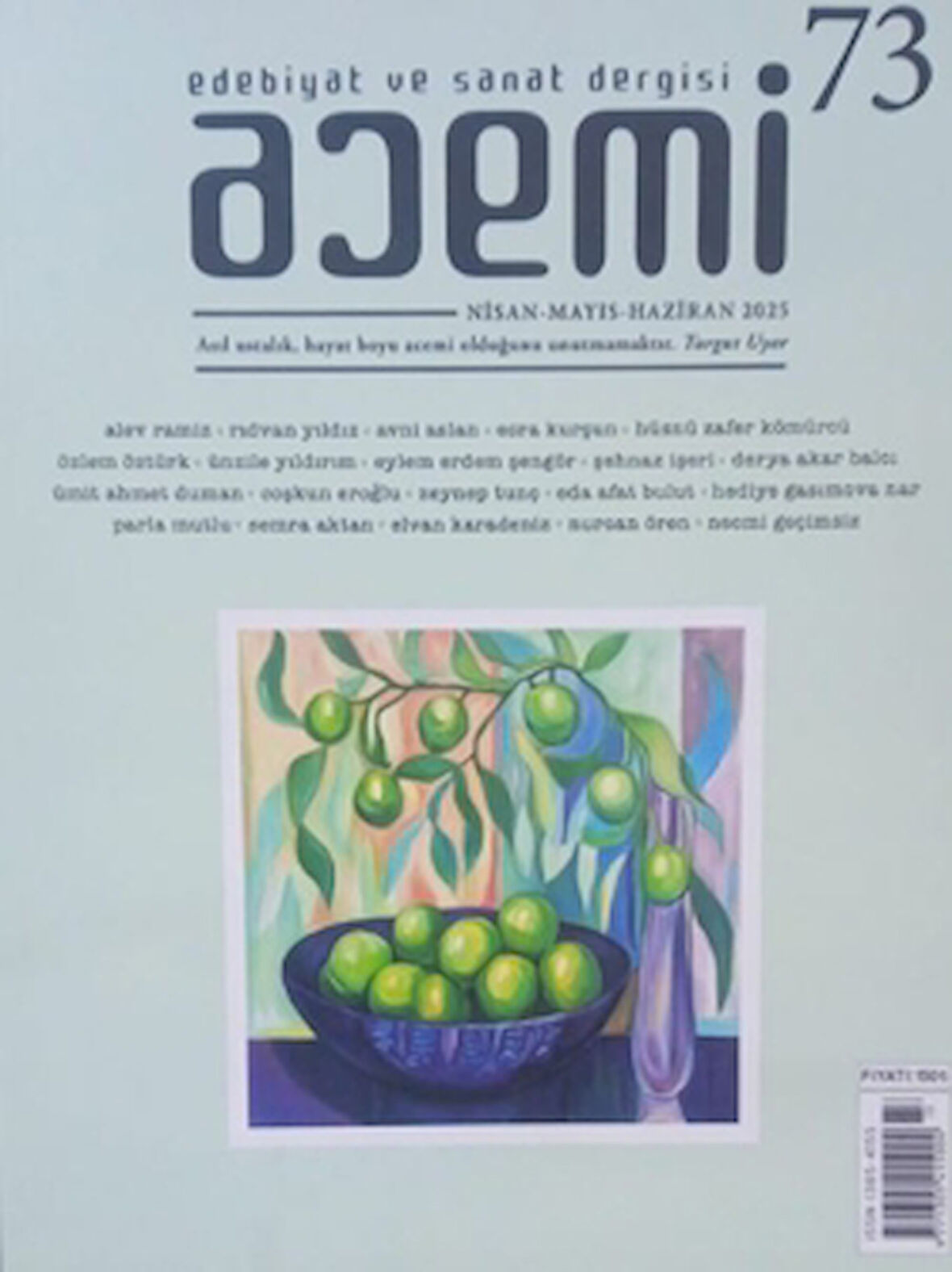 Acemi Edebiyat ve Sanat Dergisi Ocak Şubat Mart Sayı: 73 - 2025