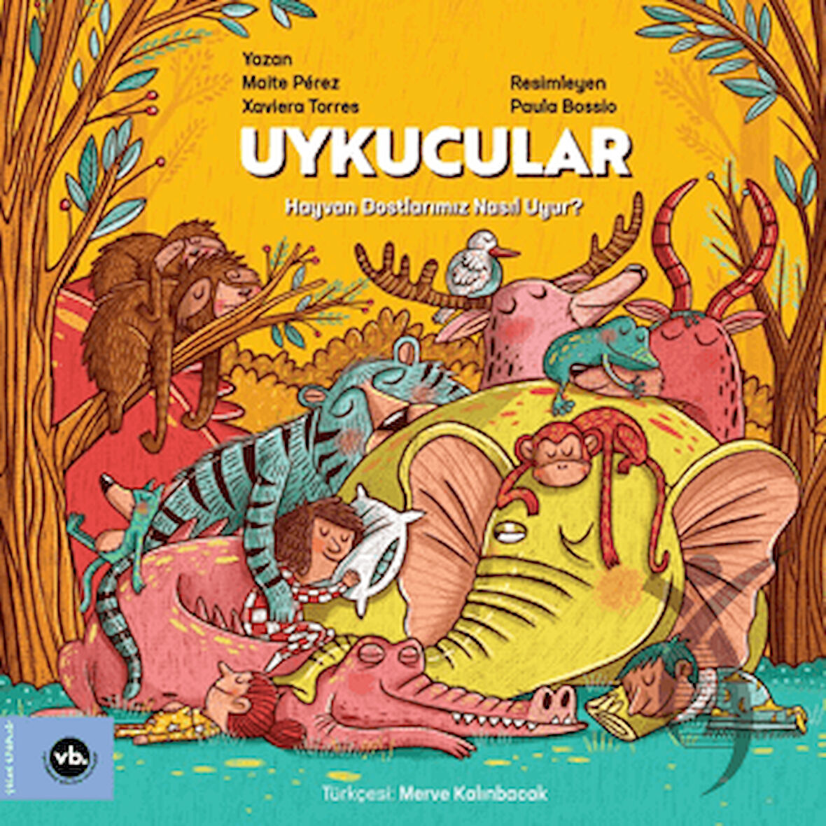 Uykucular Hayvan Dostlarımız Nasıl Uyur?