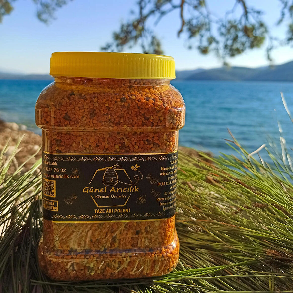 Yaş (taze) Arı Poleni 1 kg 