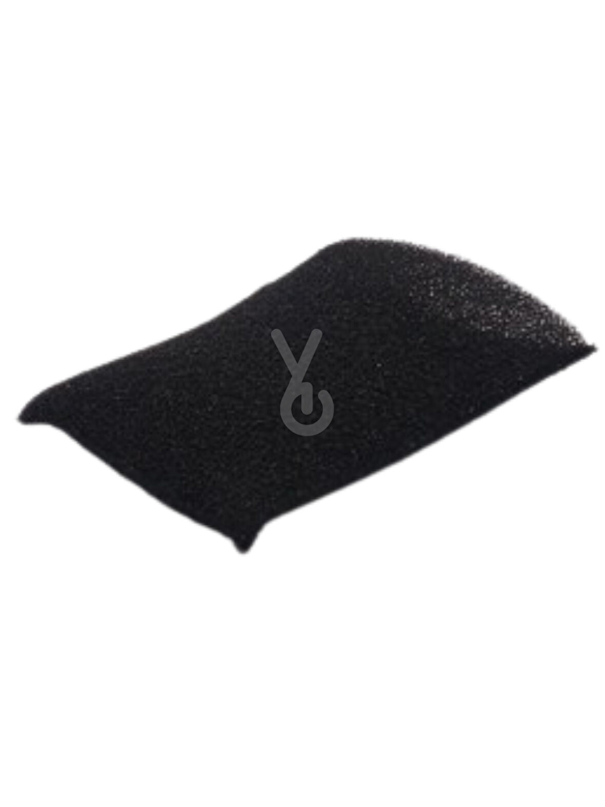 Fakir Şamandra Süngeri