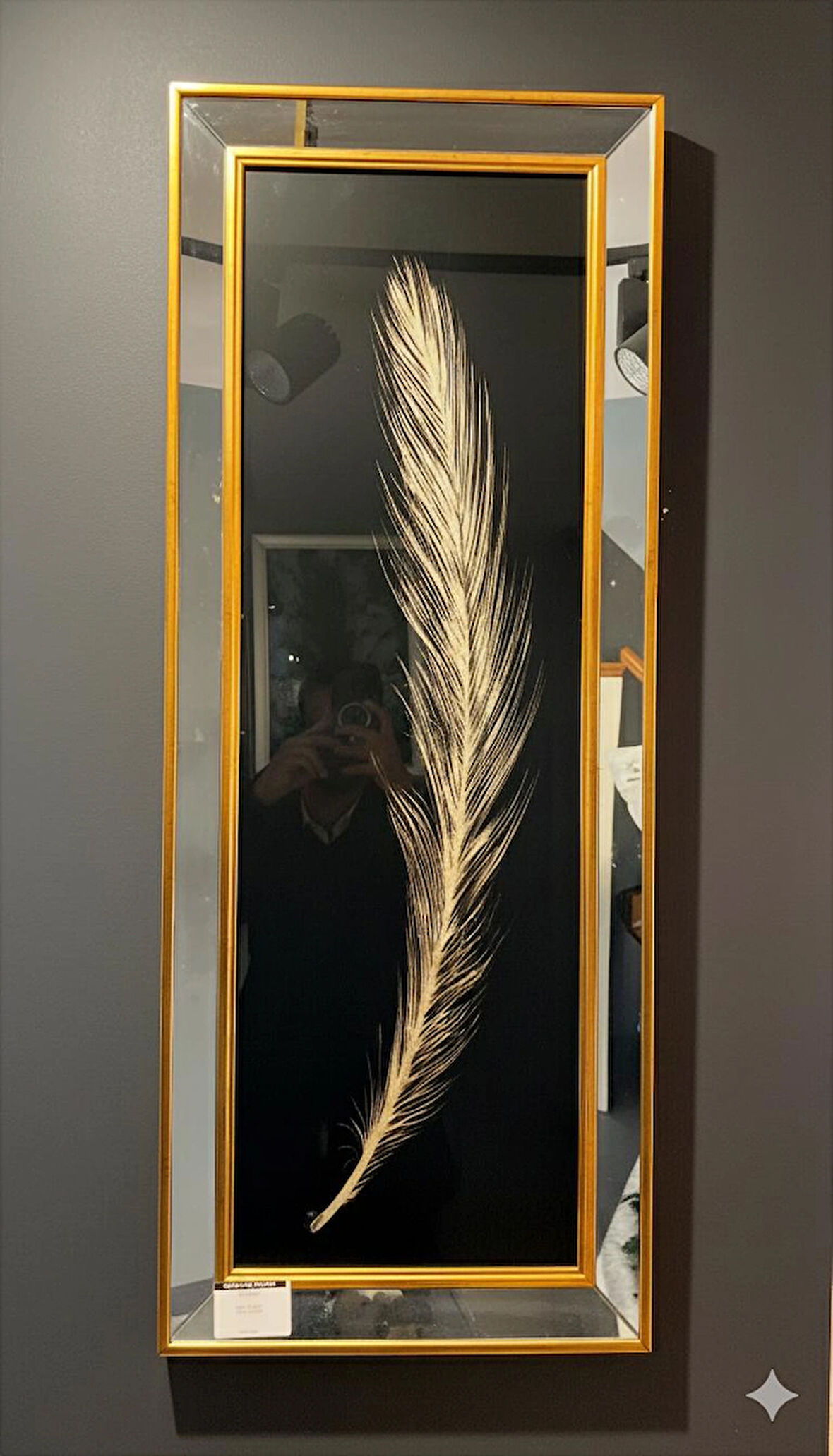 Siyah Üzerine Gold Tüy Aynalı Çerçeve Tablo