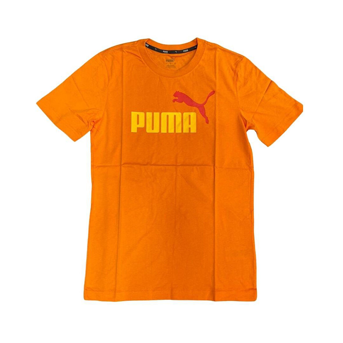 PUMA ESS 2 COL LOGO TEE ERKEK TSHIRT