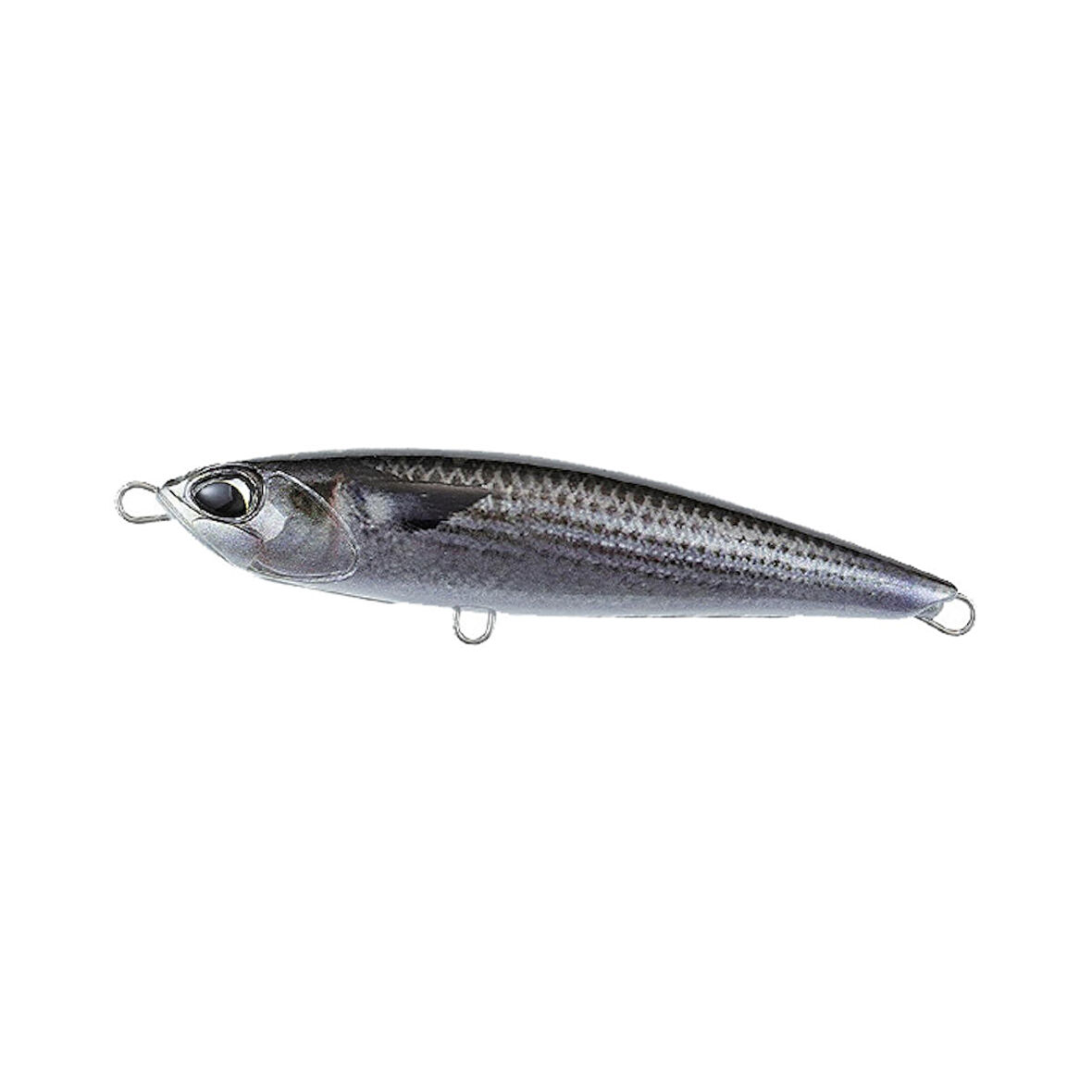 Duo Rough Trail Aomasa 148F ACC0804 Mullet ND