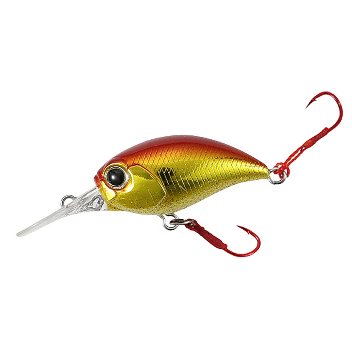 Duo Tetra Works KuraKura ASA0328 Red Gold Belly