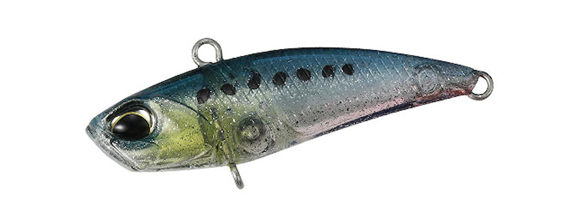 Duo Tetra Works Bivi CCC0475 Sardine Spirit