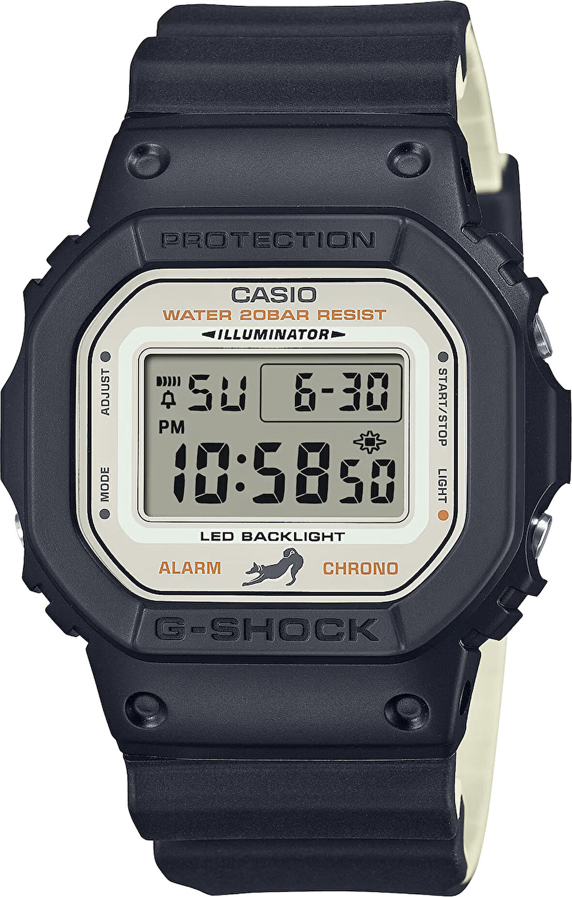 Casio DW-5600SHB-1D