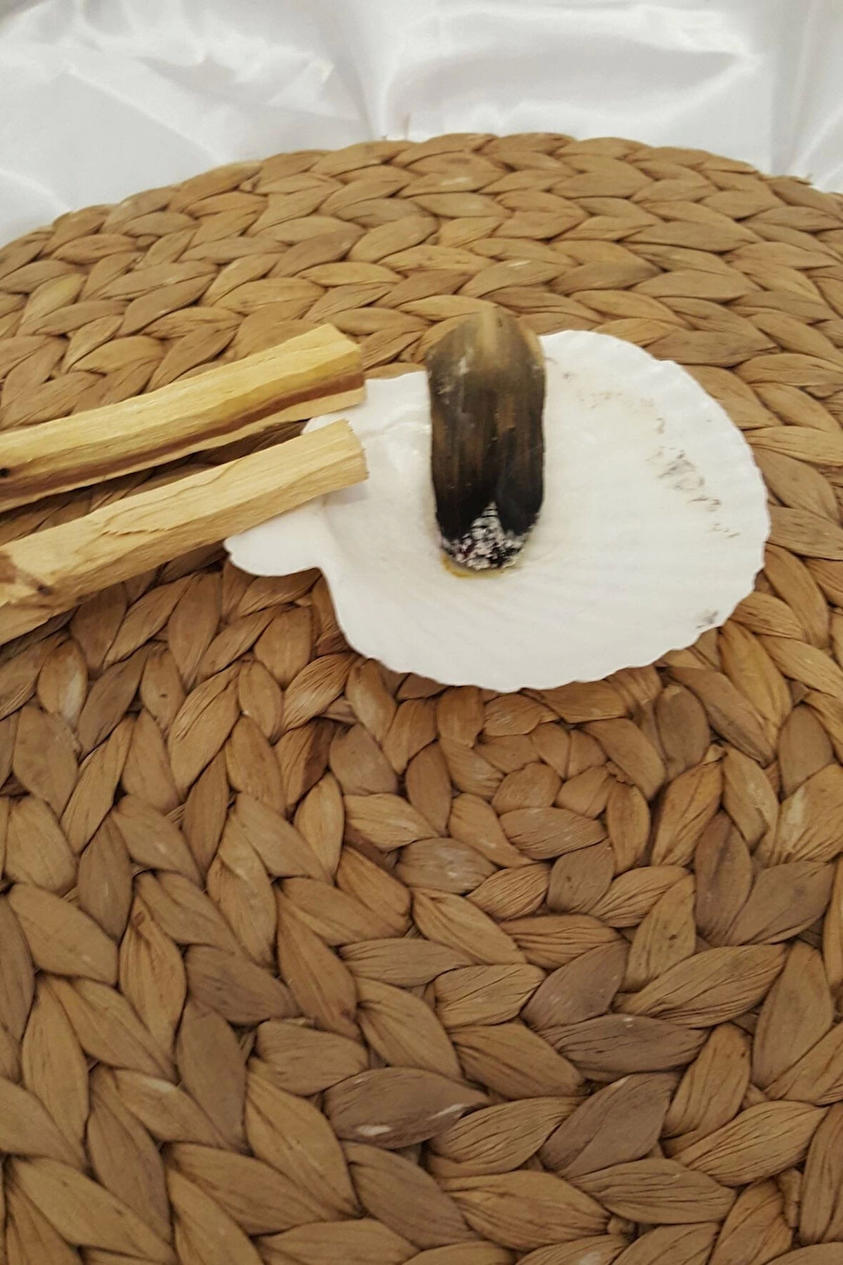 Palo Santo Doğal Tütsü 2 Adet İstiridye Palosantoluk ile Beraber 