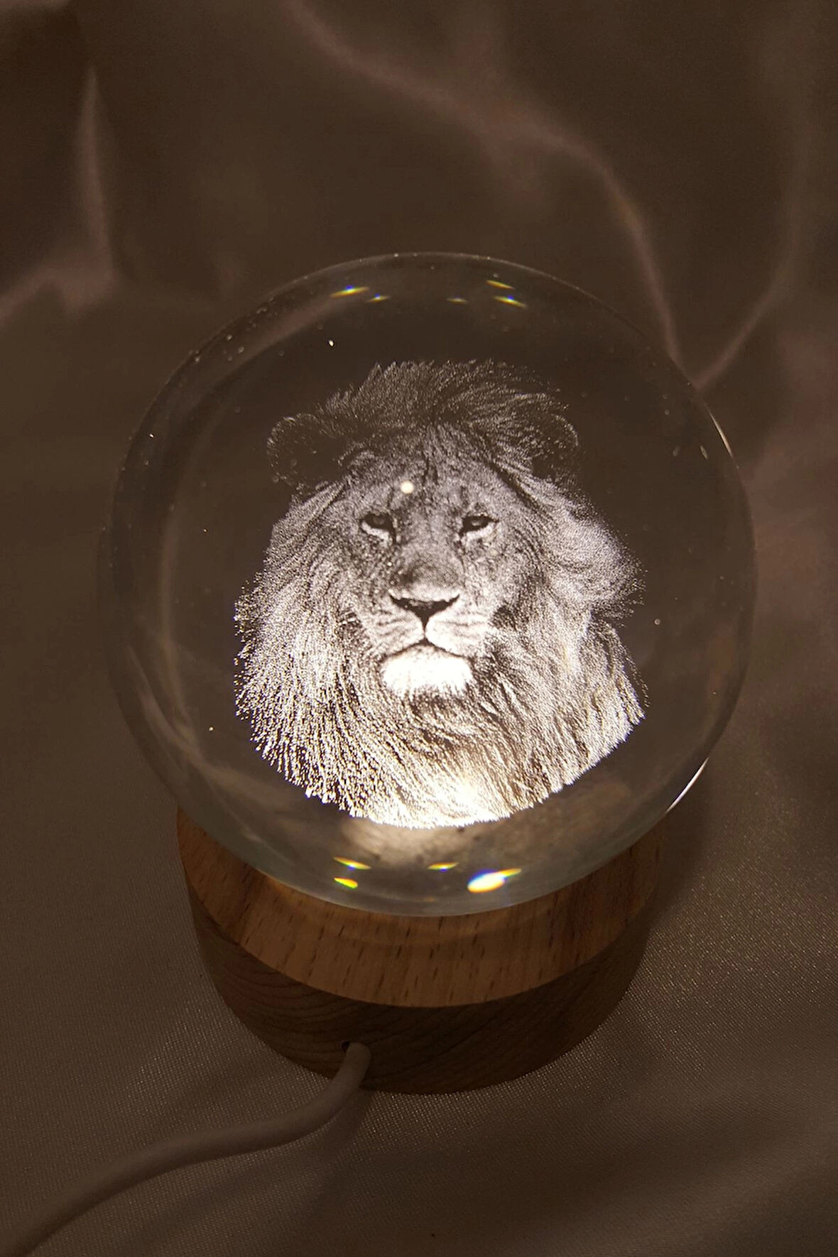 Aslan Cim Bom Galata Saray 3D Led Işık Cam Küre Tek Renk Gece Lambası Mega Boy