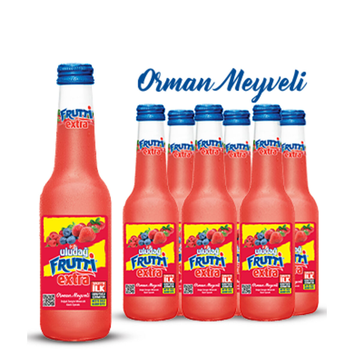 Frutti Extra Orman Meyveli 250 Ml X 6 Adet