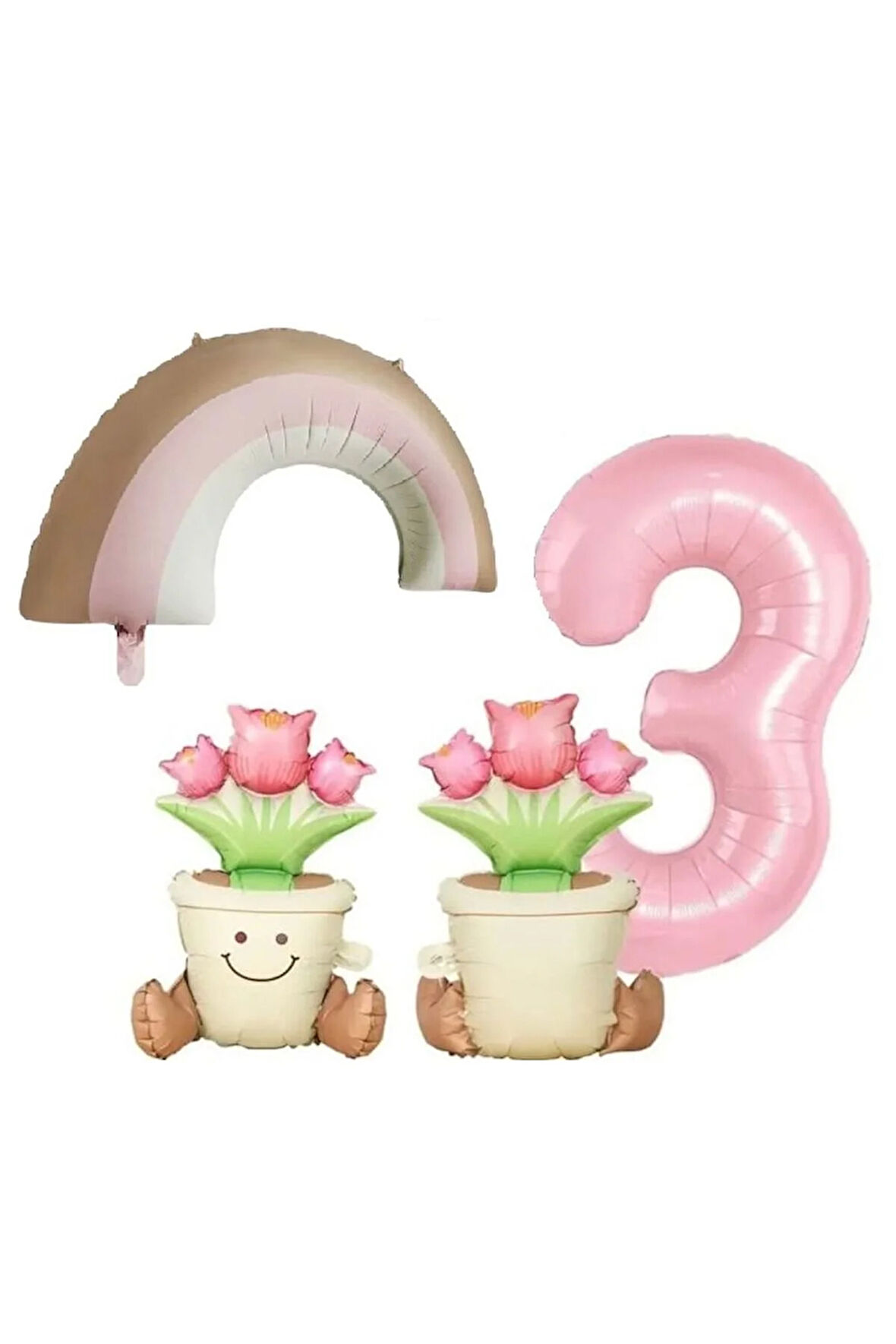 RETRO KAKTÜS GÖKKUŞAĞI FOLYO YAŞ BALON SET