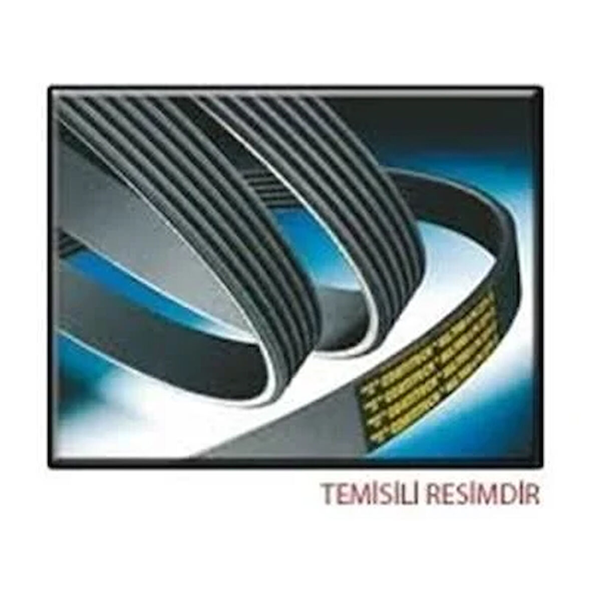 KANALLI KAYIS MERCEDES DODGE FORD JAGUAR JEEP OPEL SAAB