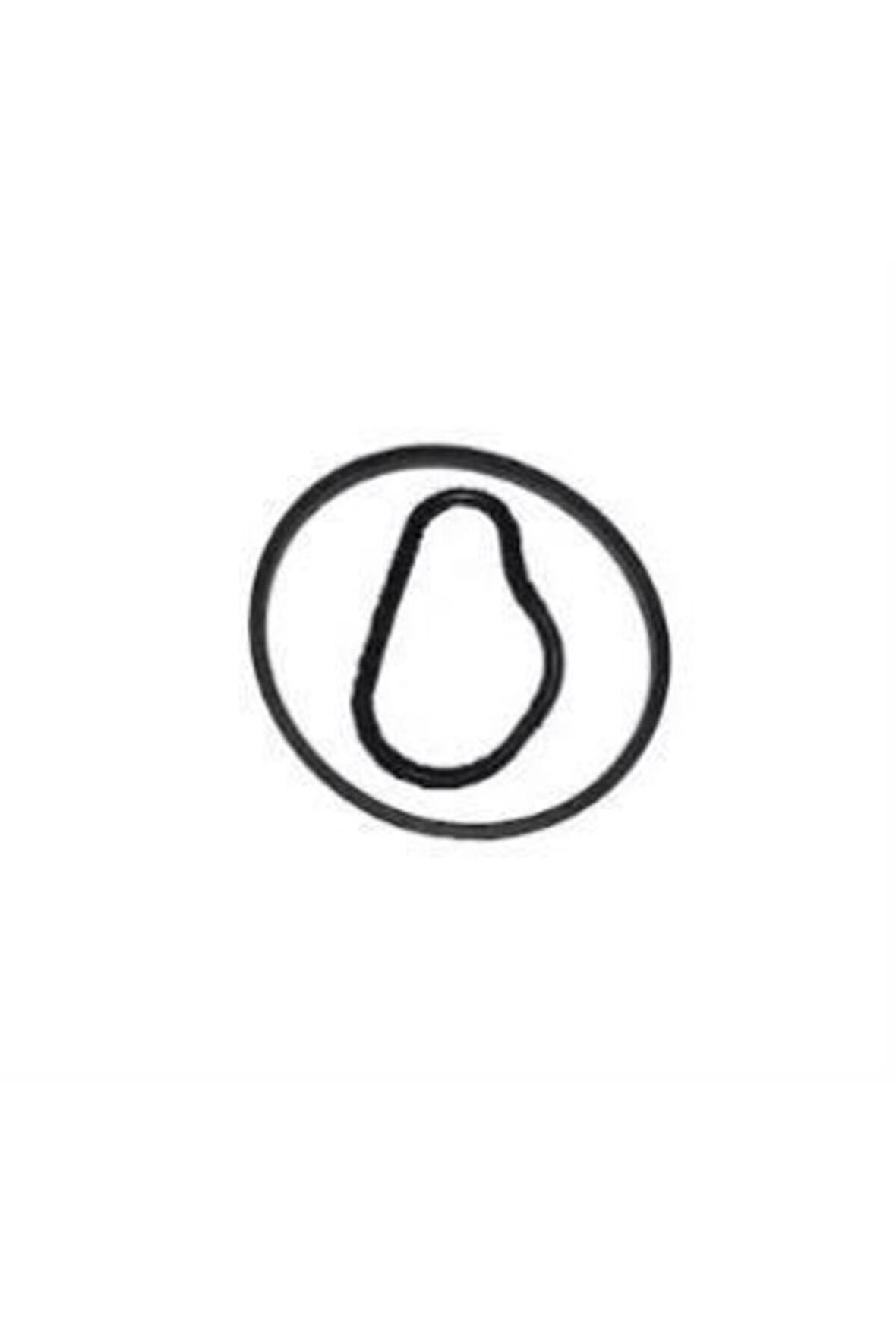 VAKUM POMPA ORİNG CONTA 206-207-308-307-407-C3-C4-C5-508 1.6HDI 459941