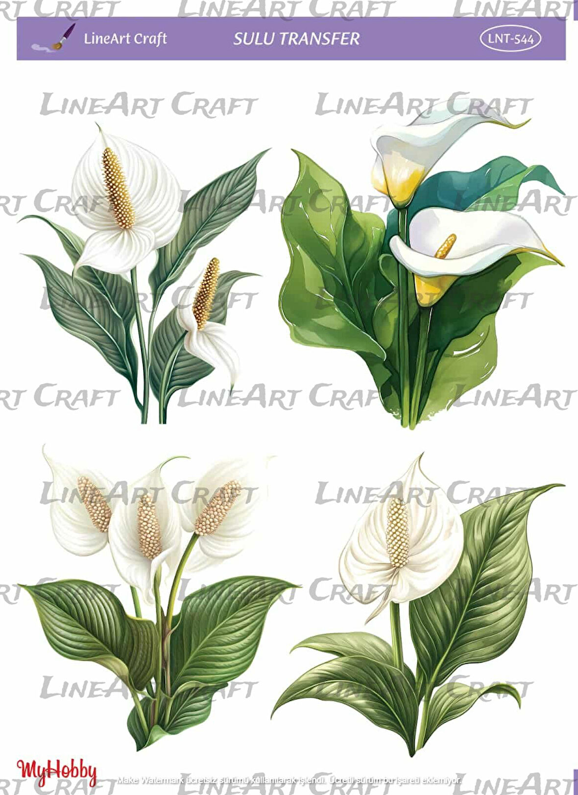 LNT544 Gala, Çiçek, Krem Tonları Açık Zemin Sulu Transfer 25*35 cm