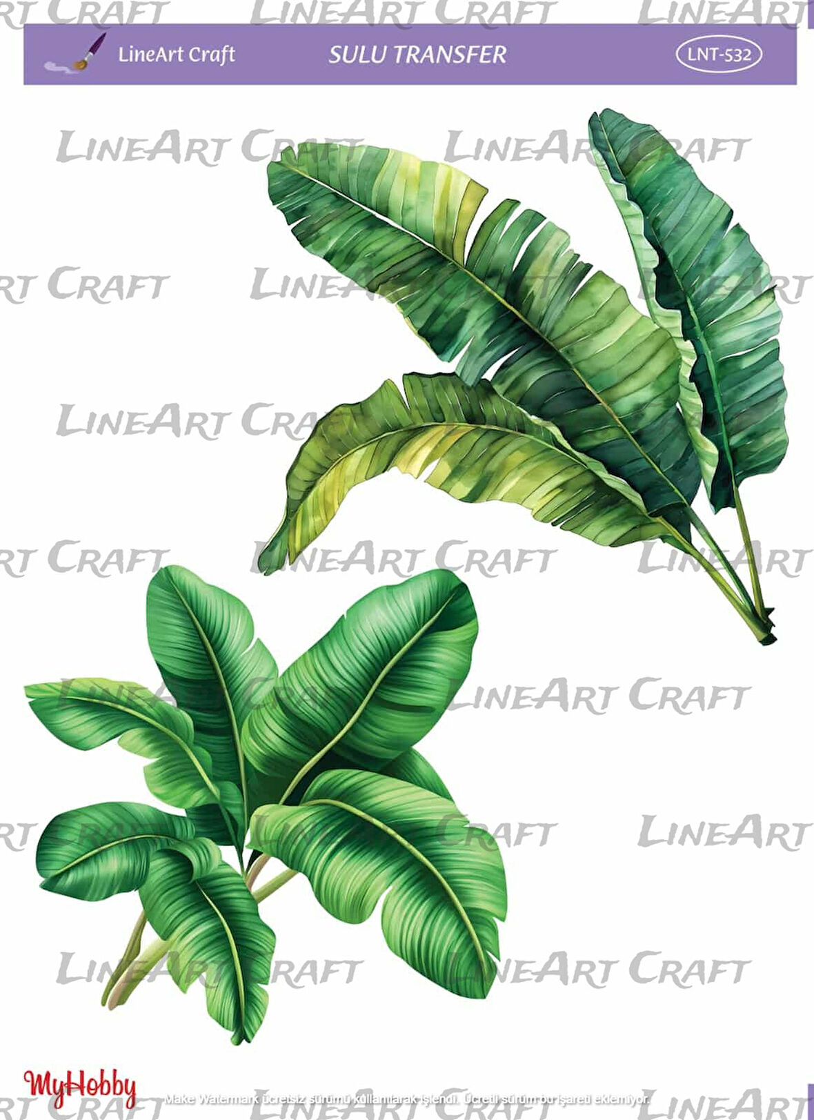 LNT532 Yaprak, Yeşil Tonları Açık Zemin Sulu Transfer 25*35 cm