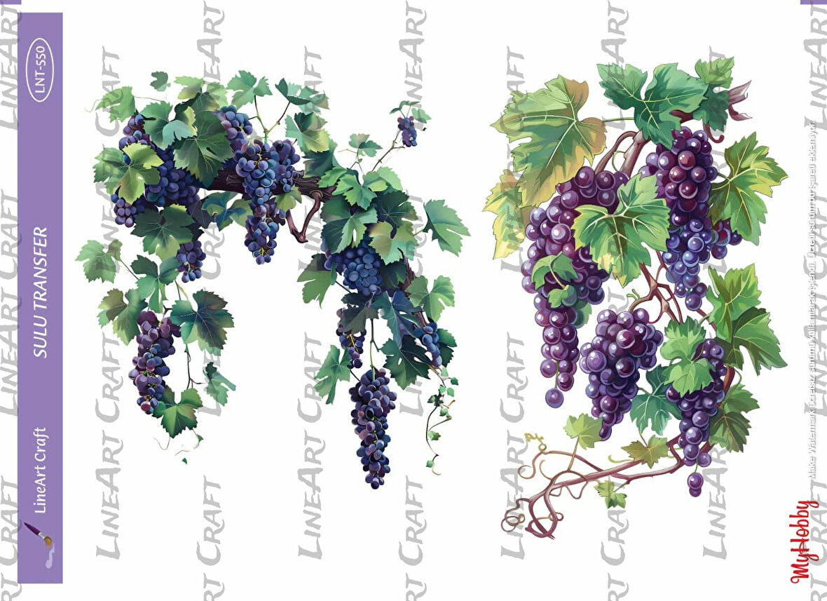 LNT550 Üzüm, Asma, Mor Tonları Açık Zemin Sulu Transfer 25*35 cm