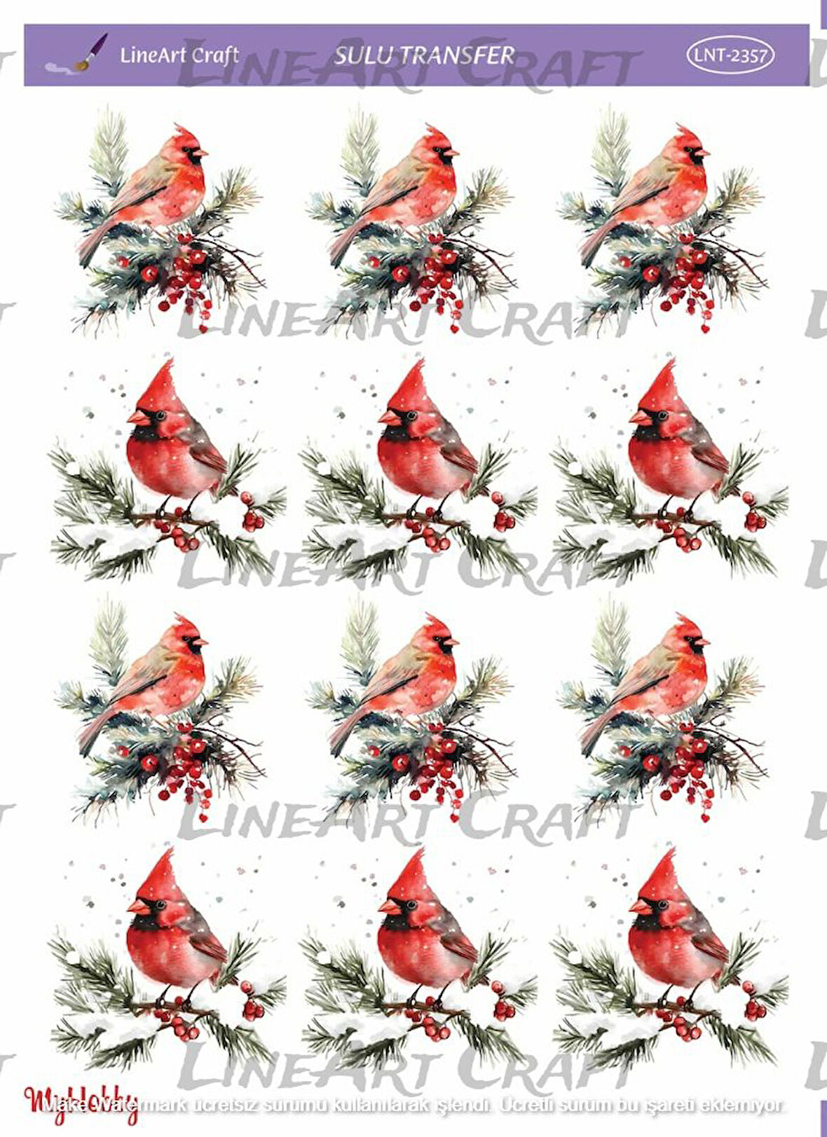 ST2357 Yeniyıl Serisi, Kızılgerdan Desenli Açık Zemin Sulu Transfer 25*35 cm