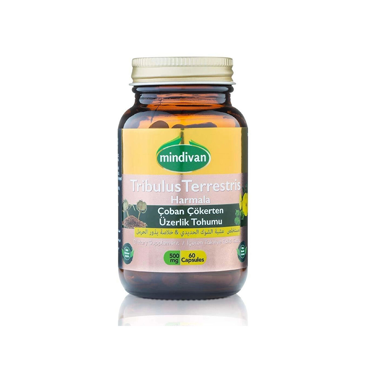 Çoban Çökerten & Üzerlik Tohumu Ekstresi 500 Mg 60 Kapsül
