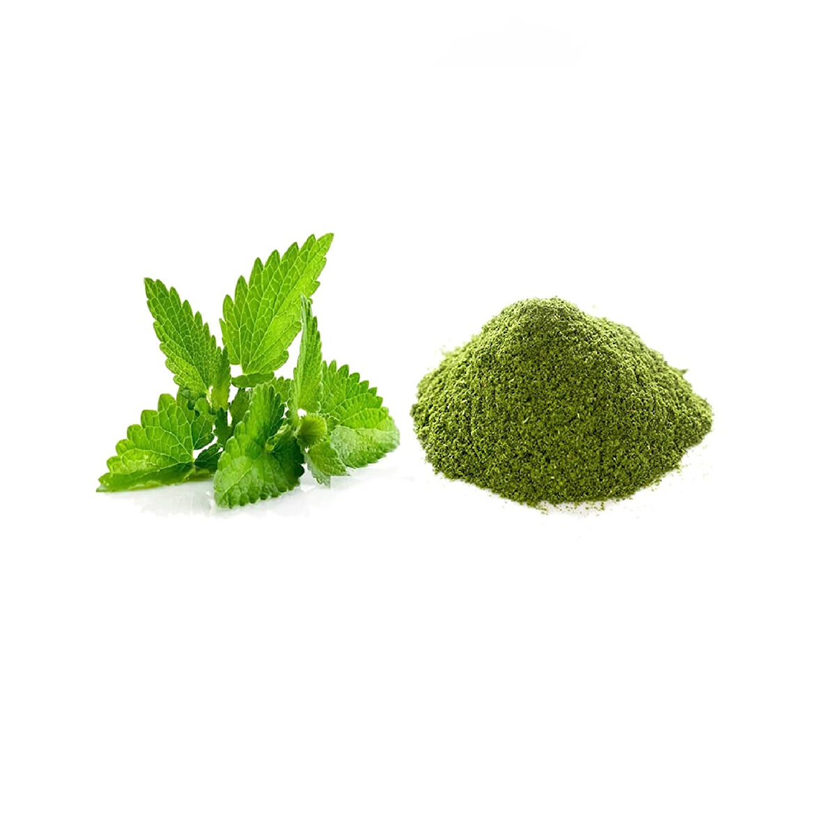 Nane Bitkisi Toz 500g