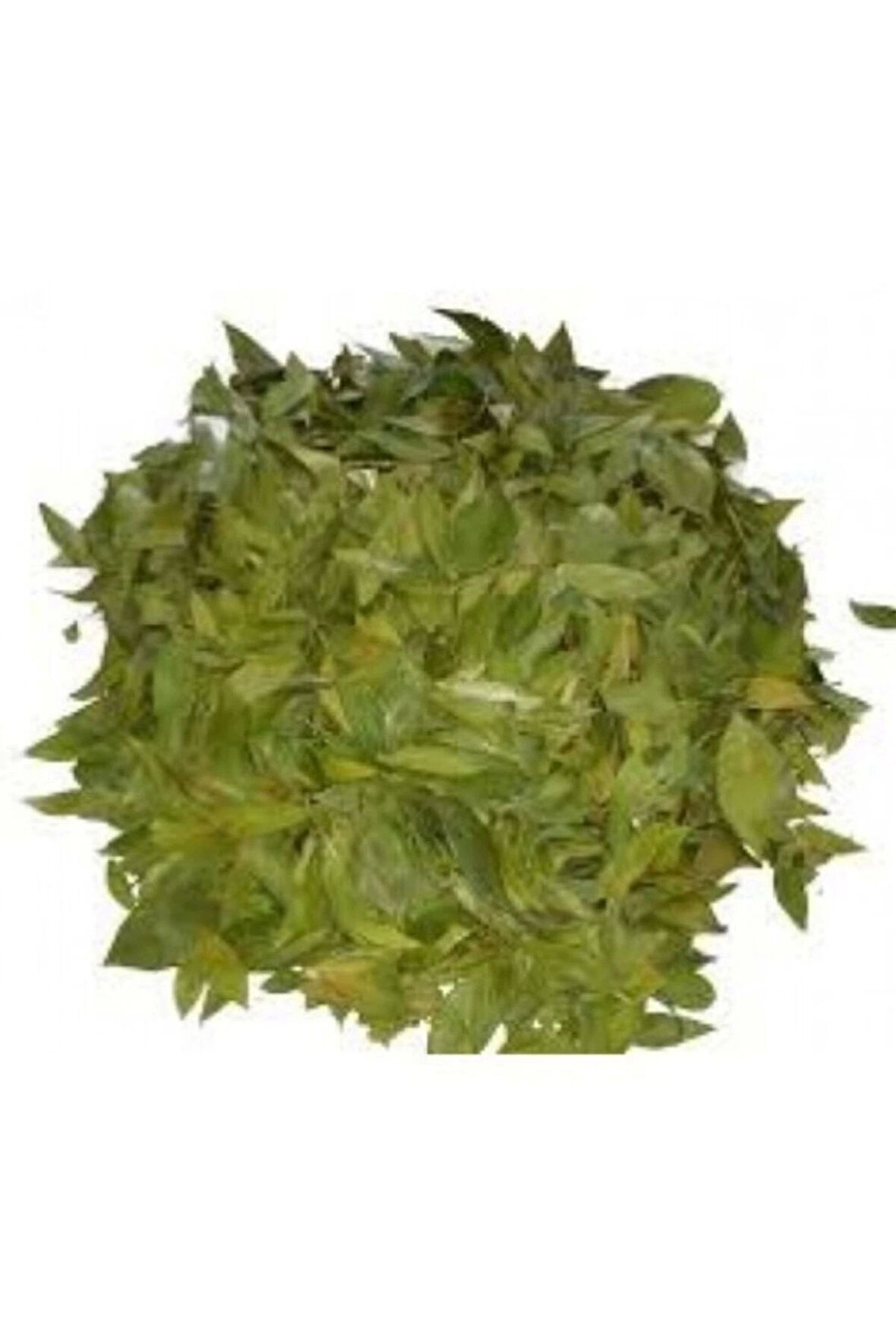 Mersin Yaprağı 500 Gr, Lokman Aktar