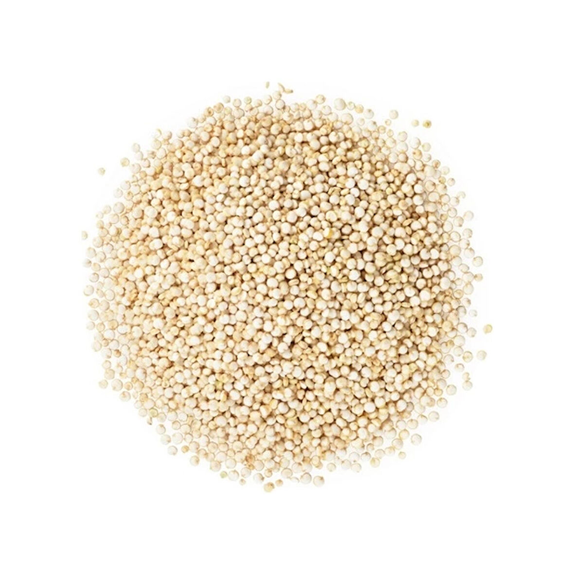 Kinoa Tohumu 100 G, Lokman Aktar