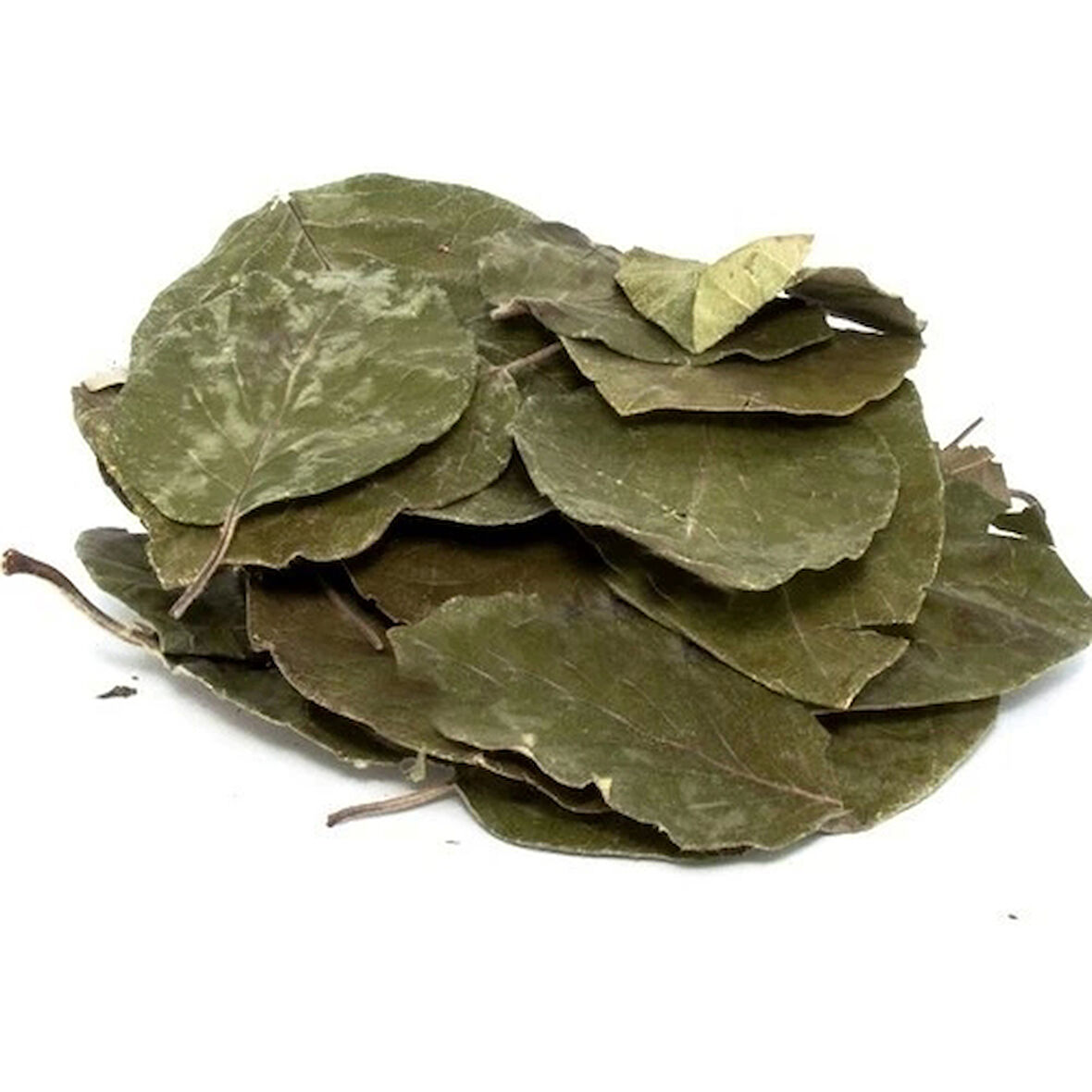 Avakado 25 Gr (Paket-Bitki) 1Adet