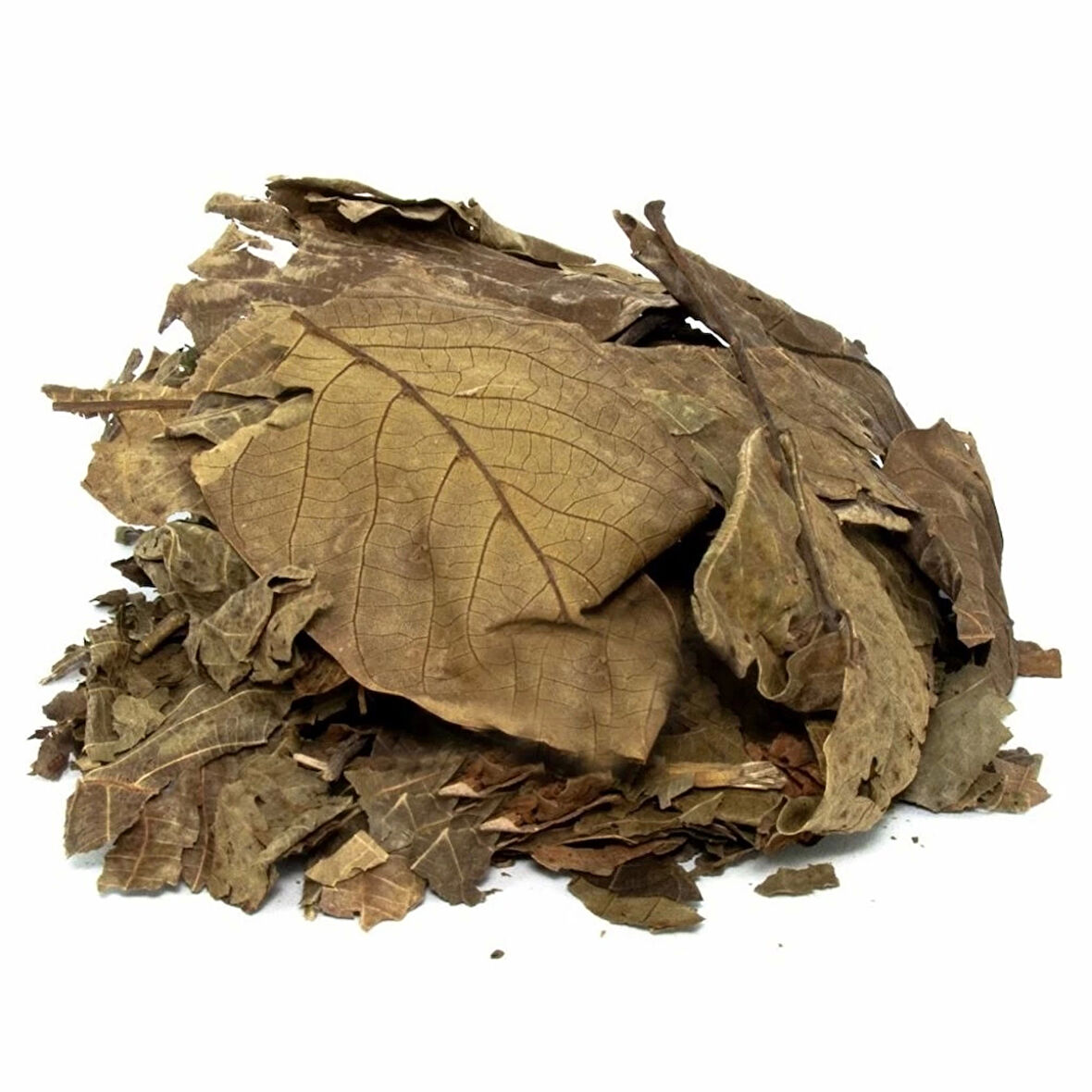 Ceviz Yaprağı 40 Gr (Paket-Bitki) 1Adet