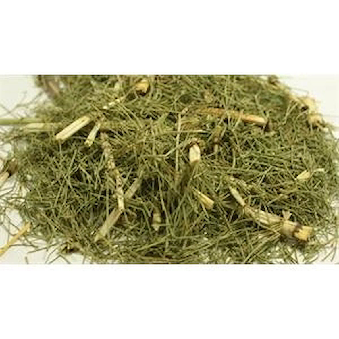 Kırkkilit At kuyruğu bitkisi 25 Gr (Paket-Bitki) 1Adet