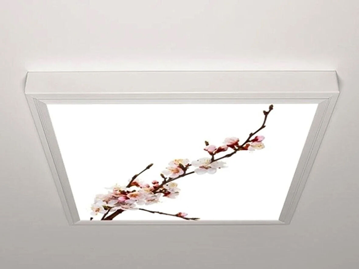 Gök Panel 60X60 LED Panel Aydınlatma Armatür Avize Sıva Üstü Desenli Tekli 46510021SU