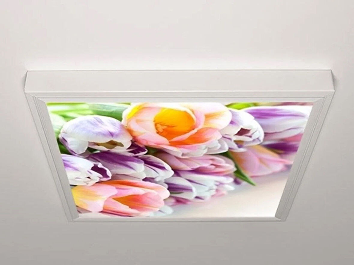 Gök Panel 60X60 LED Panel Aydınlatma Armatür Avize Sıva Üstü Desenli Tekli 46510160SU