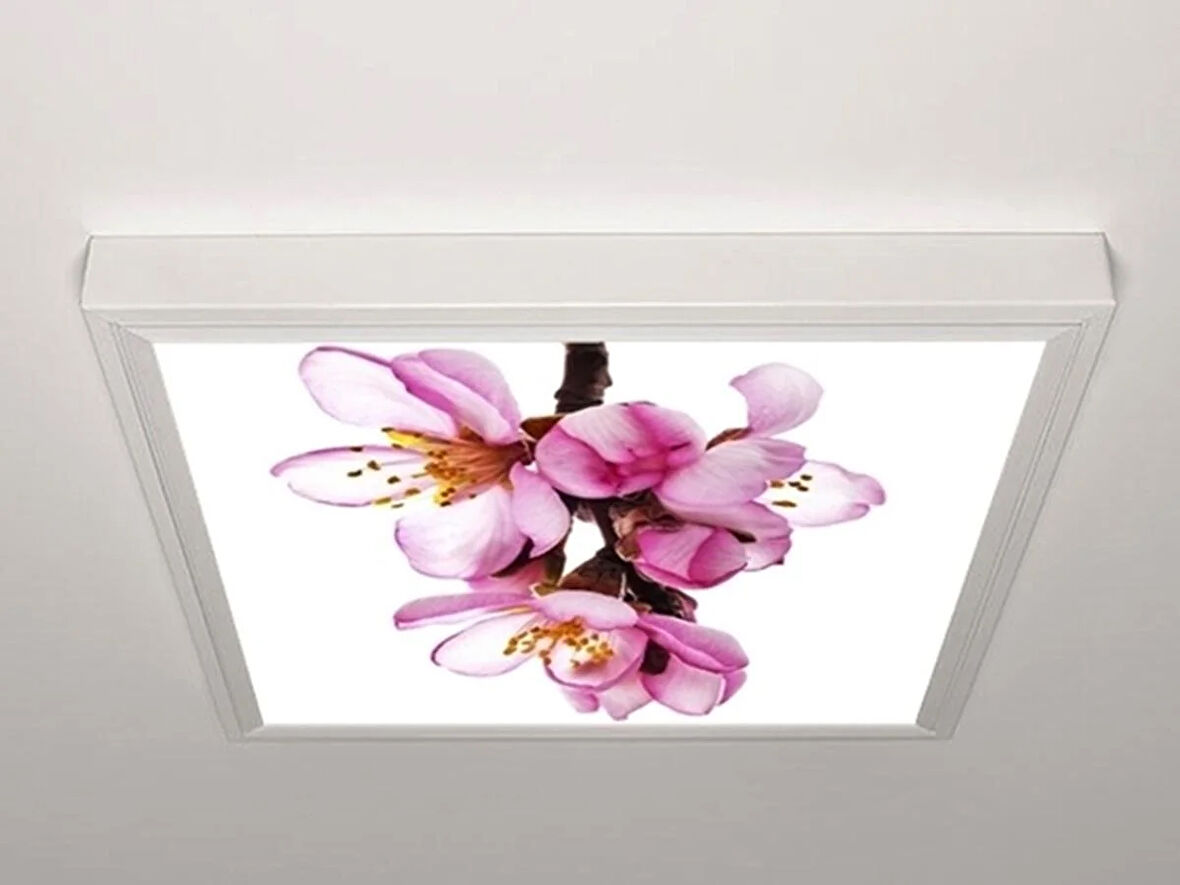 Gök Panel 60X60 LED Panel Aydınlatma Armatür Avize Sıva Üstü Desenli Tekli 46510169SU