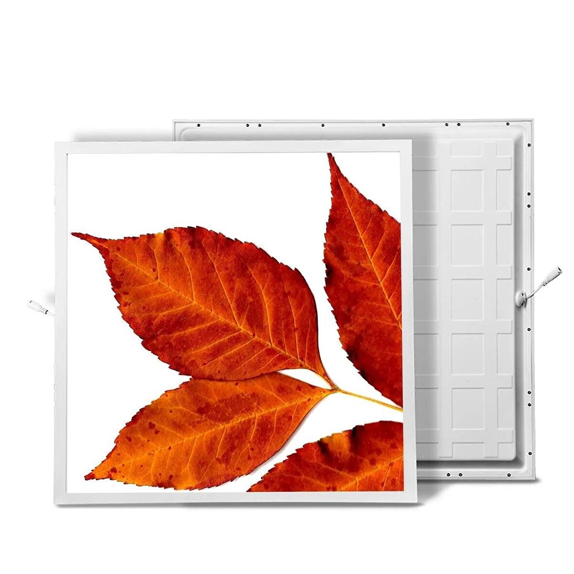 Gök Panel 60X60 LED Panel Sıva Altı Desenli Tekli 46510221SA