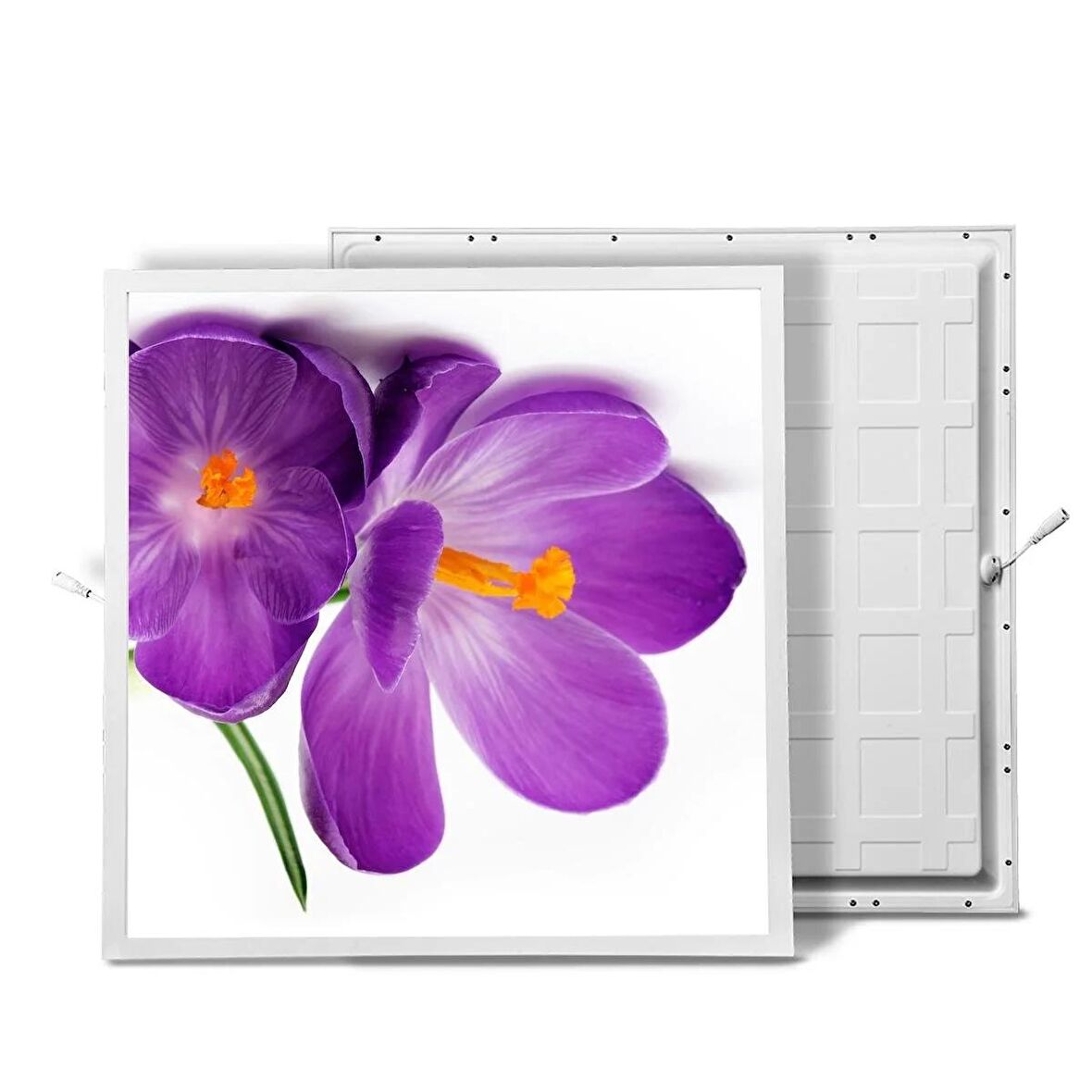 Gök Panel 60X60 LED Panel Sıva Altı Desenli Tekli 46510257SA