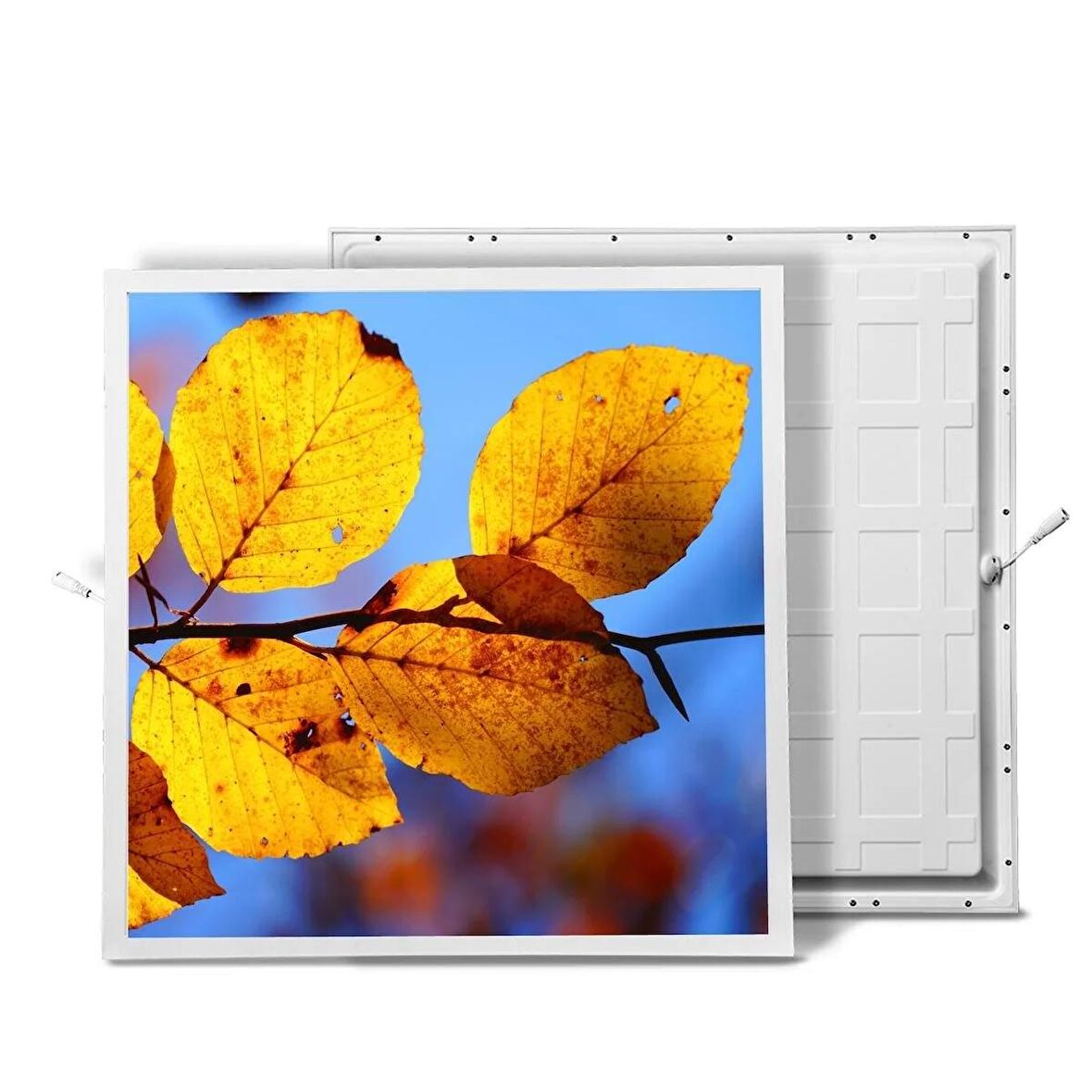 Gök Panel 60X60 LED Panel Sıva Altı Desenli Tekli 46510271SA