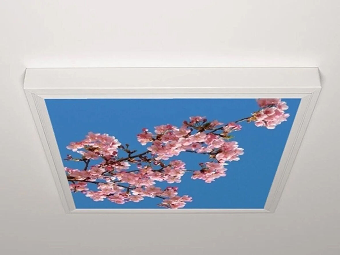 Gök Panel 60X60 LED Panel Aydınlatma Armatür Avize Sıva Üstü Desenli Tekli 46510290SU