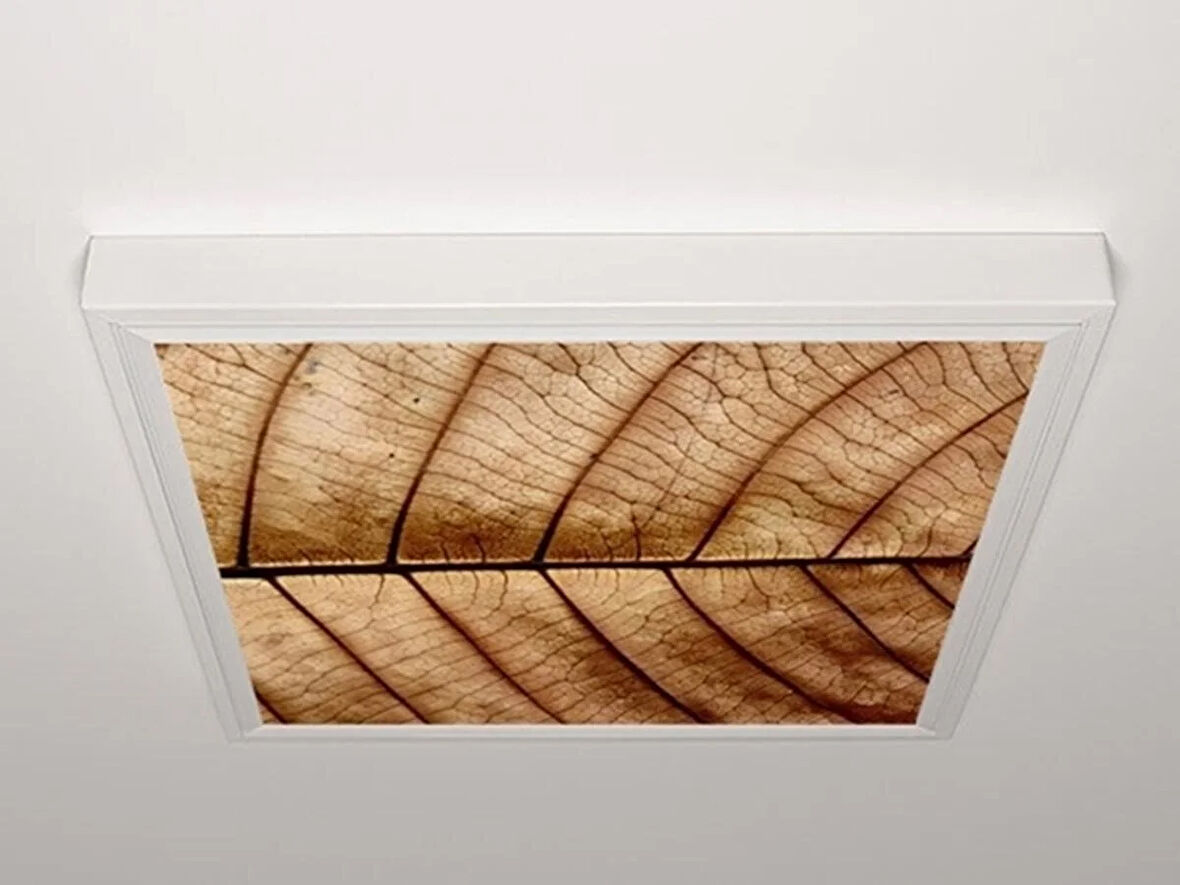 Gök Panel 60X60 LED Panel Aydınlatma Armatür Avize Sıva Üstü Desenli Tekli 46510319SU