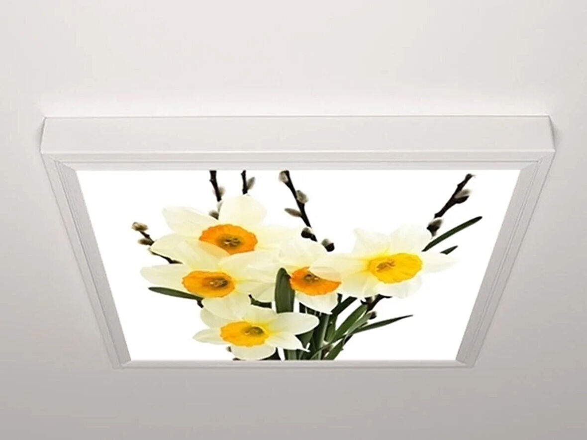 Gök Panel 60X60 LED Panel Aydınlatma Armatür Avize Sıva Üstü Desenli Tekli 46510322SU