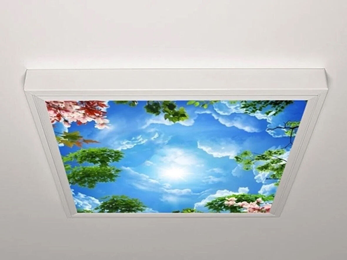 Gök Panel 60X60 LED Panel Aydınlatma Armatür Avize Sıva Üstü Desenli Tekli 46510433SU